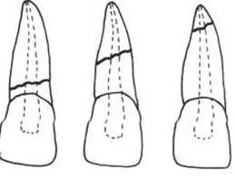 1545817417106431.jpg