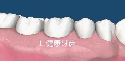 1548489983149556.gif