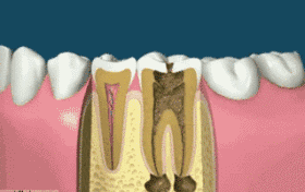 1549010831584392.gif