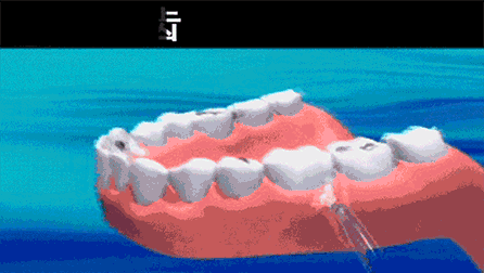 1551345580498038.gif